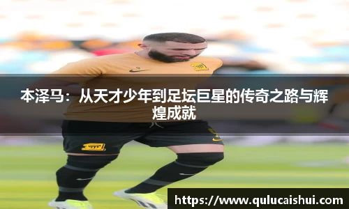 BB贝博