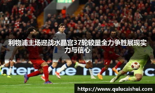 BB贝博ballbet