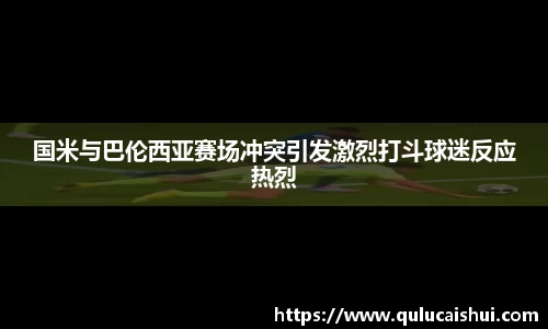 国米与巴伦西亚赛场冲突引发激烈打斗球迷反应热烈