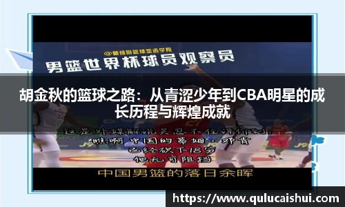 BB贝博ballbet