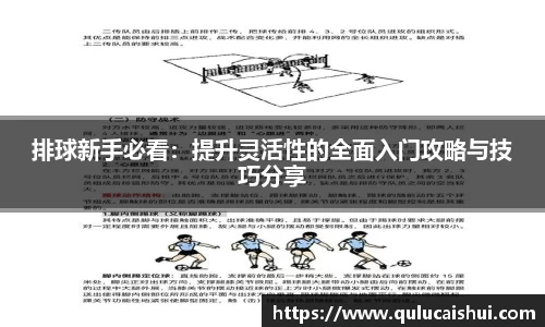 BB贝博登录入口