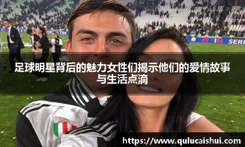 BB贝博登录入口