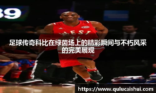 BB贝博登录入口