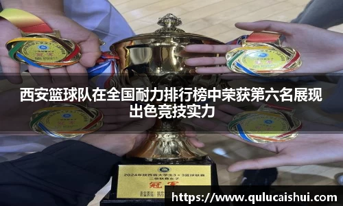 BB贝博登录入口