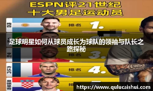 BB贝博登录入口