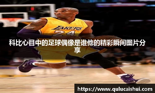 BB贝博登录入口